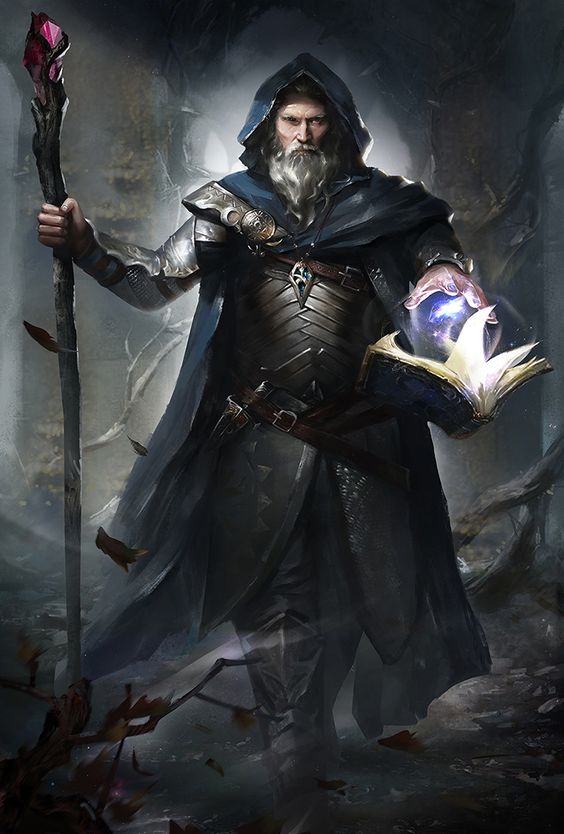 A wise mage with a staff and a tome of magic, clad in protective yet unencumbering garments, symbolizes the strategic defense of the Lightly Armored.
